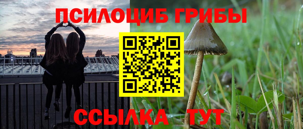 Псилоцибиновые грибы прущие грибы Ульяновск